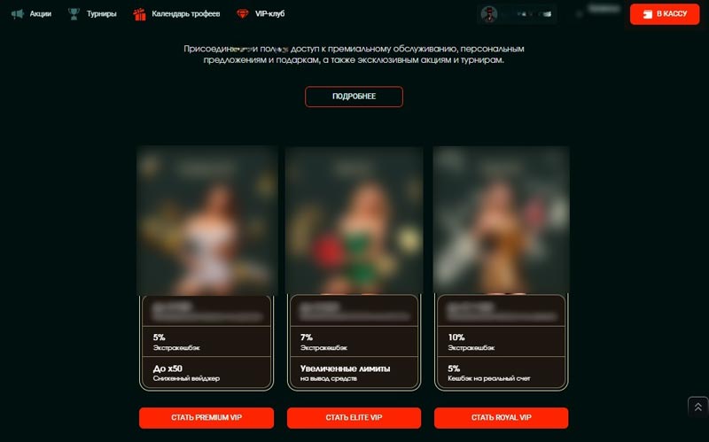 Программа лояльности